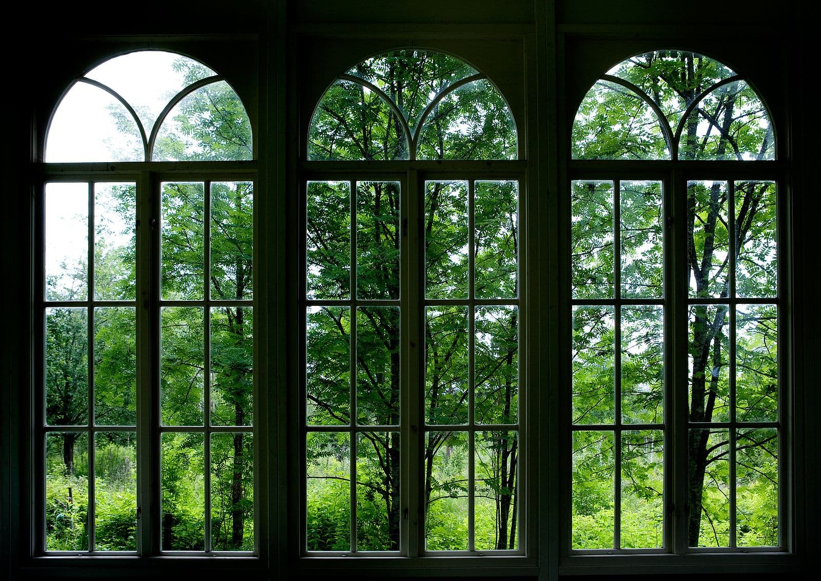 window 5