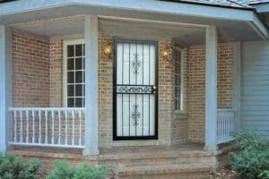 storm door img